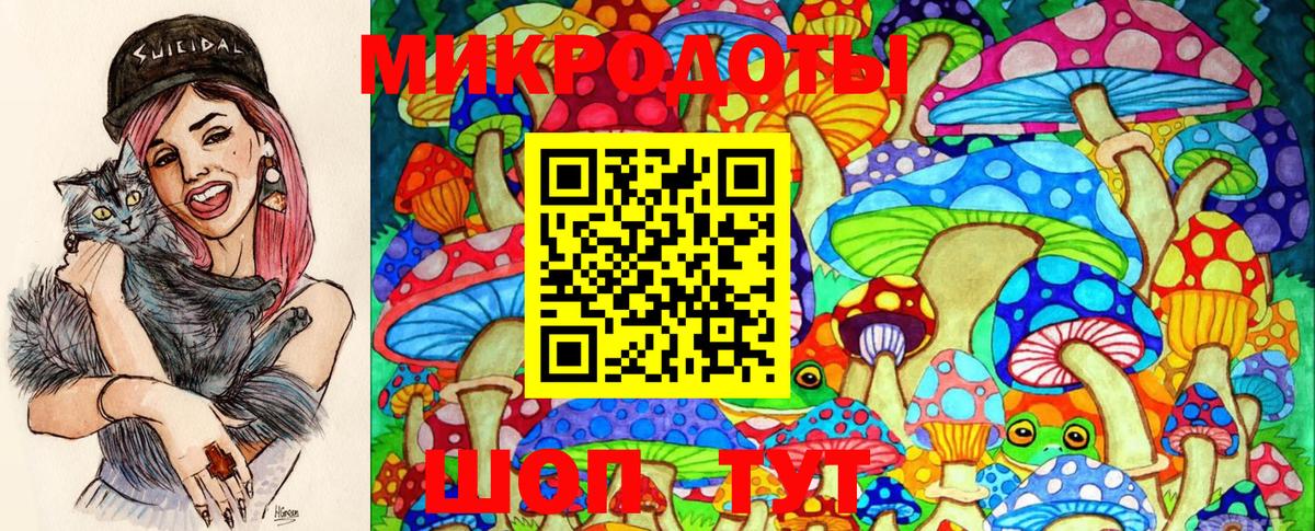 Псилоцибиновые грибы мицелий  Вход с VPN  Горно-Алтайск 